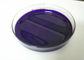 Violette 5v-Pu van de de Kleurensterkte van het Pigmentdeeg Hoge SGS MSDS COA TDS Certificatie leverancier